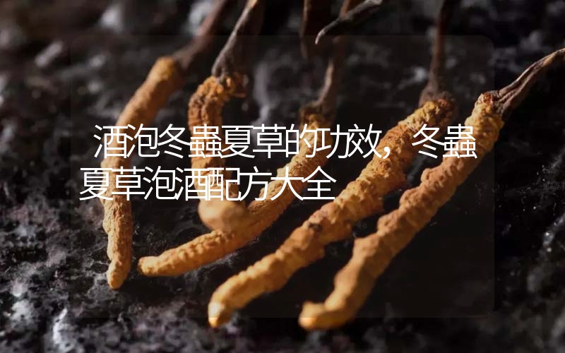 酒泡冬蟲夏草的作用，冬蟲夏草泡酒配方大全