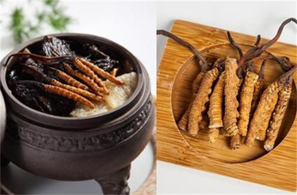 冬蟲夏草和浮魚搭配怎么吃？