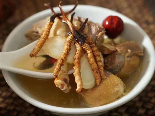 冬蟲(chóng)夏草能止咳嗎？冬蟲(chóng)夏草的某些成分可以減少痰液分泌