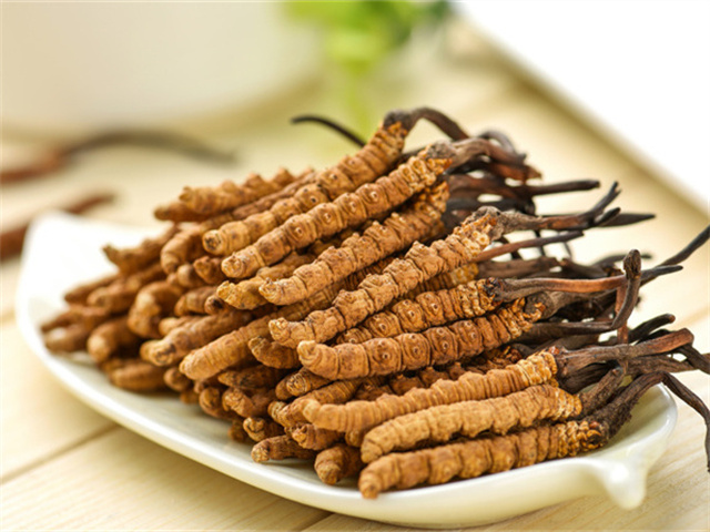 冬蟲(chóng)夏草適合幾歲吃？科學(xué)解析最佳食用年齡與注意事項(xiàng)