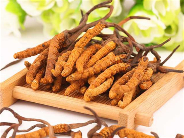 懷孕可以喝冬蟲(chóng)夏草嗎？懷孕期間吃冬蟲(chóng)夏草的4個(gè)建議