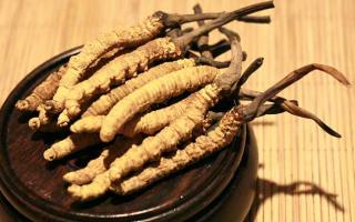 冬蟲夏草的價(jià)格一克：為何如此昂貴？
