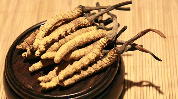 未來(lái)冬蟲夏草會(huì)漲價(jià)嗎？