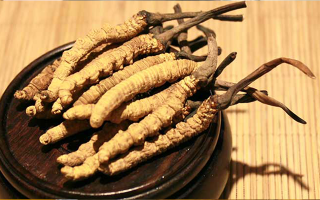 未來冬蟲夏草會漲價嗎？