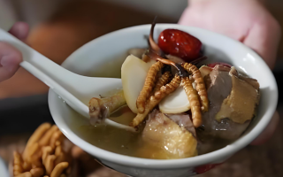 冬蟲夏草搭配有道，滋養(yǎng)肺部效果妙