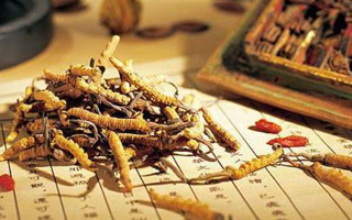 同仁堂健康冬蟲夏草：傳承品質(zhì)，饋贈健康