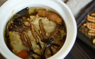 吃新鮮冬蟲夏草最佳吃法